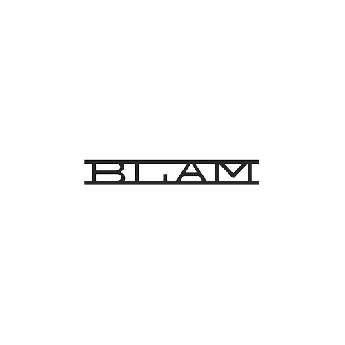 株式会社BLAM